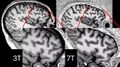 Thumbnail for version as of 15:58, 27 September 2025